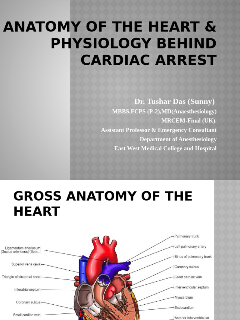 Anatomy of The Heart & Physiology Behind Cardiac | PDF | Coronary ...
