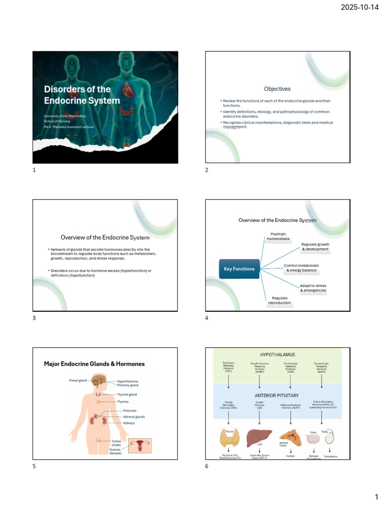 Endocrine Disorders Overview and Management | PDF | Thyroid | Thyroid ...