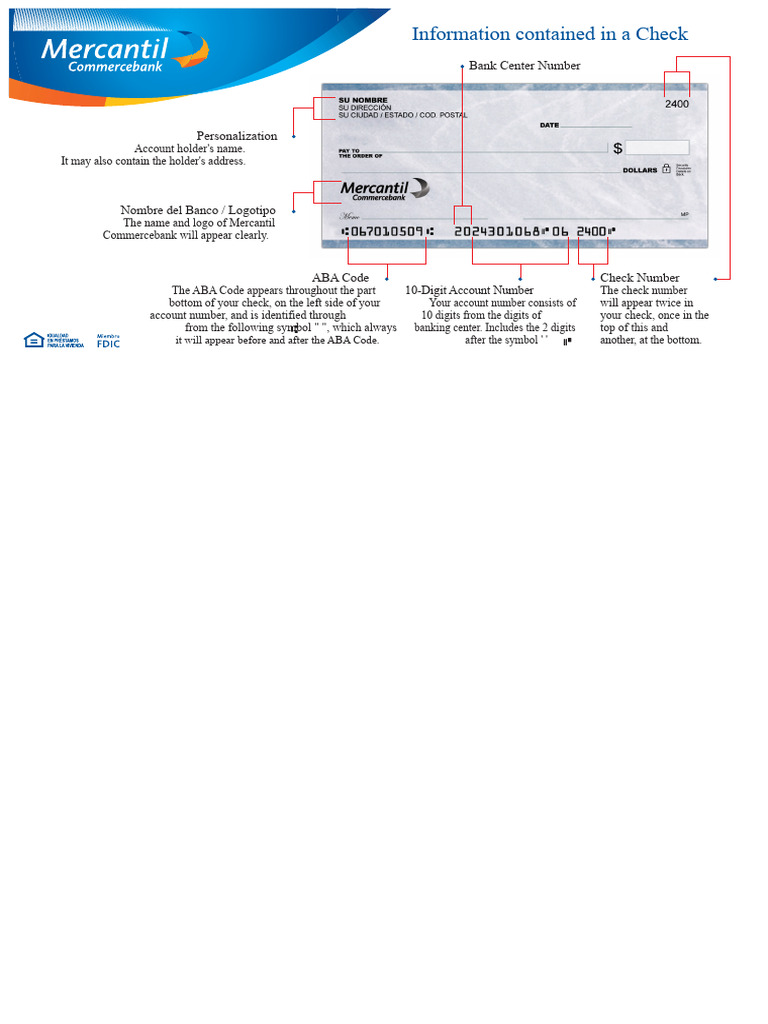 Understanding Check Information Elements | PDF
