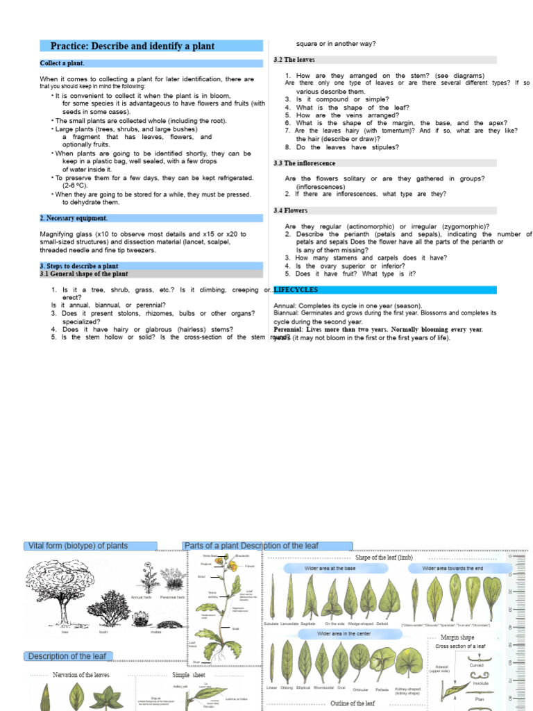 Practice Plant Identification | PDF | Botany | Branches Of Botany