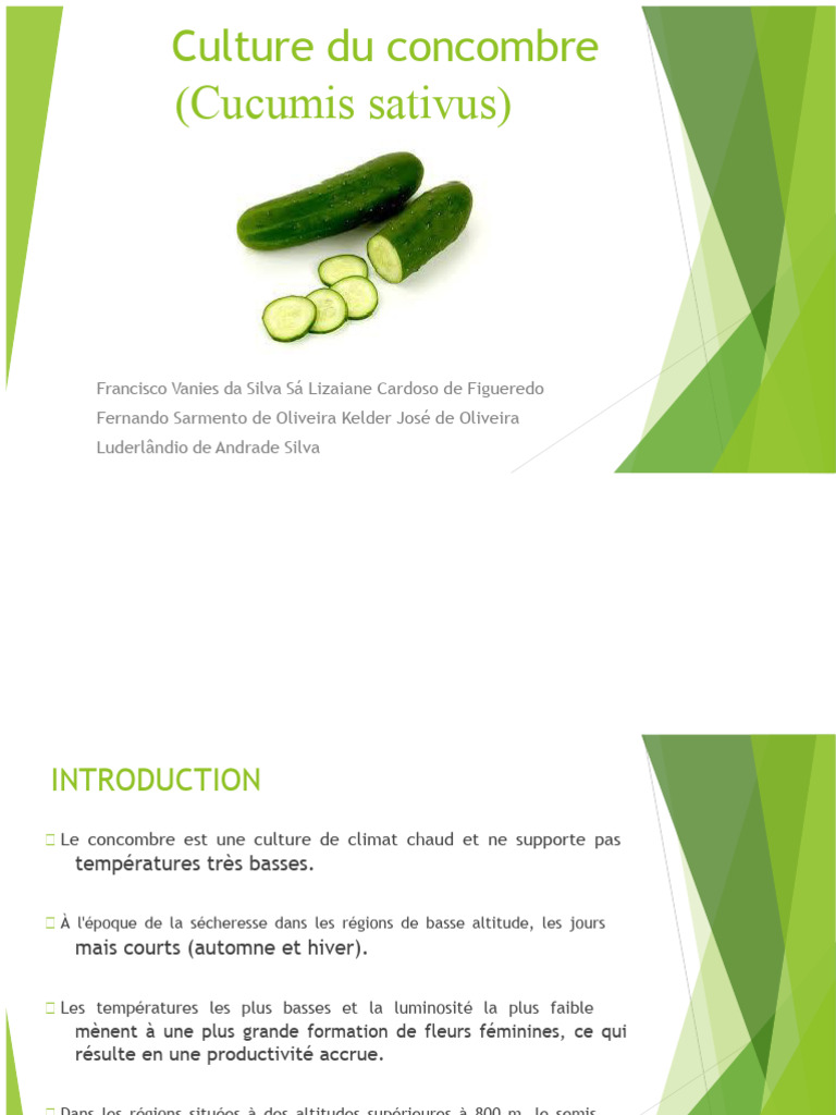 Guide complet sur la culture du concombre | PDF | Concombre | Plantes