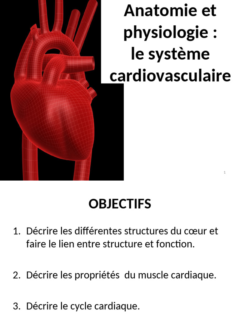 Anatomie et Physiologie du Cœur | PDF | Ventricule cardiaque | Atrium ...