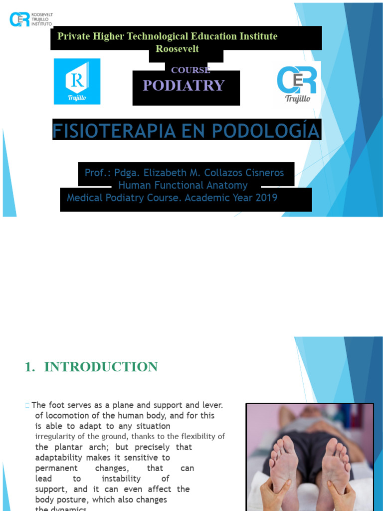 Podiatry Course: Human Foot Anatomy & Pathologies | PDF | Foot | Human Leg