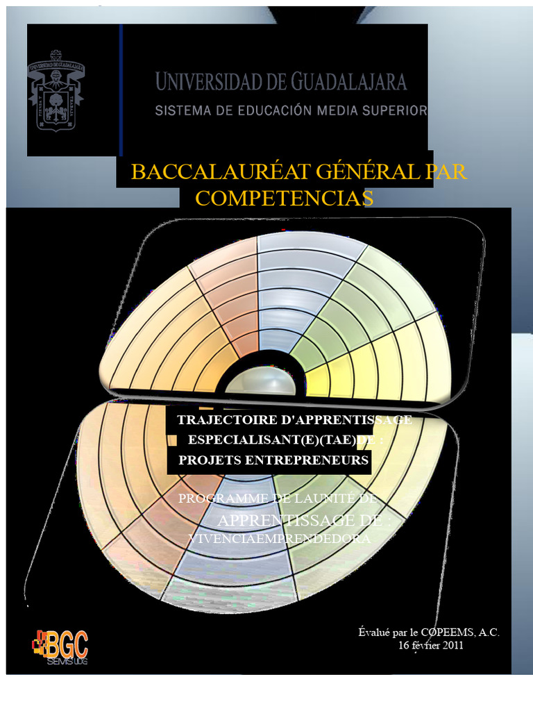 Programme de Baccalauréat en Entrepreneuriat | PDF | Business ...