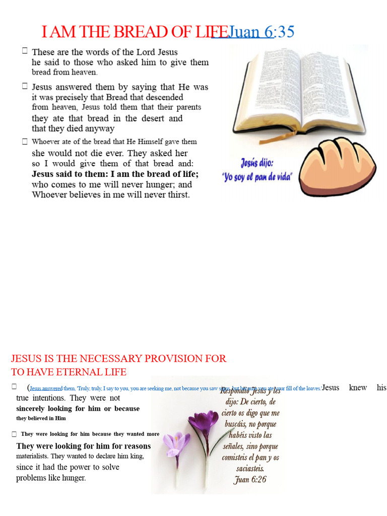 Jesus: The Bread of Life Explained | PDF | Jesus | Eternal Life ...