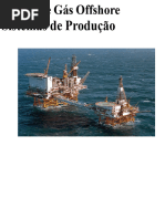 Tipos e Funções de Risers Offshore | PDF | Corrosão | Pressão