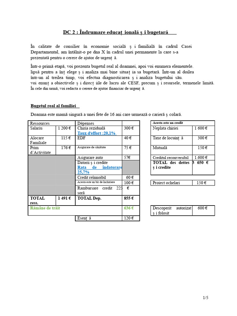 DC 2.docx2 Exemplu AEB DE CESF | PDF