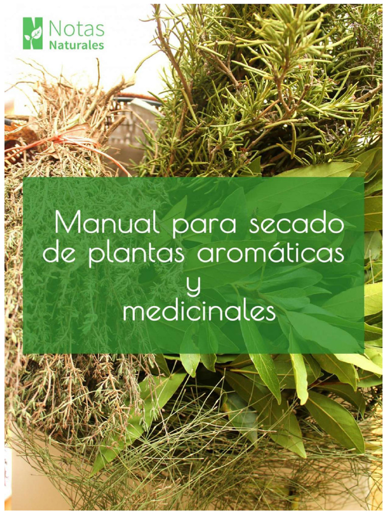 Guide to Drying Medicinal Plants | PDF | Thyme | Fennel