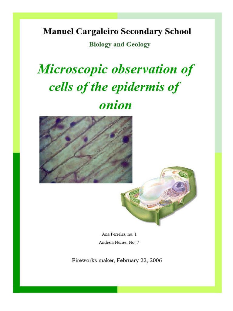 Report - microscopic observation of onion epidermis cells | PDF | Cell ...