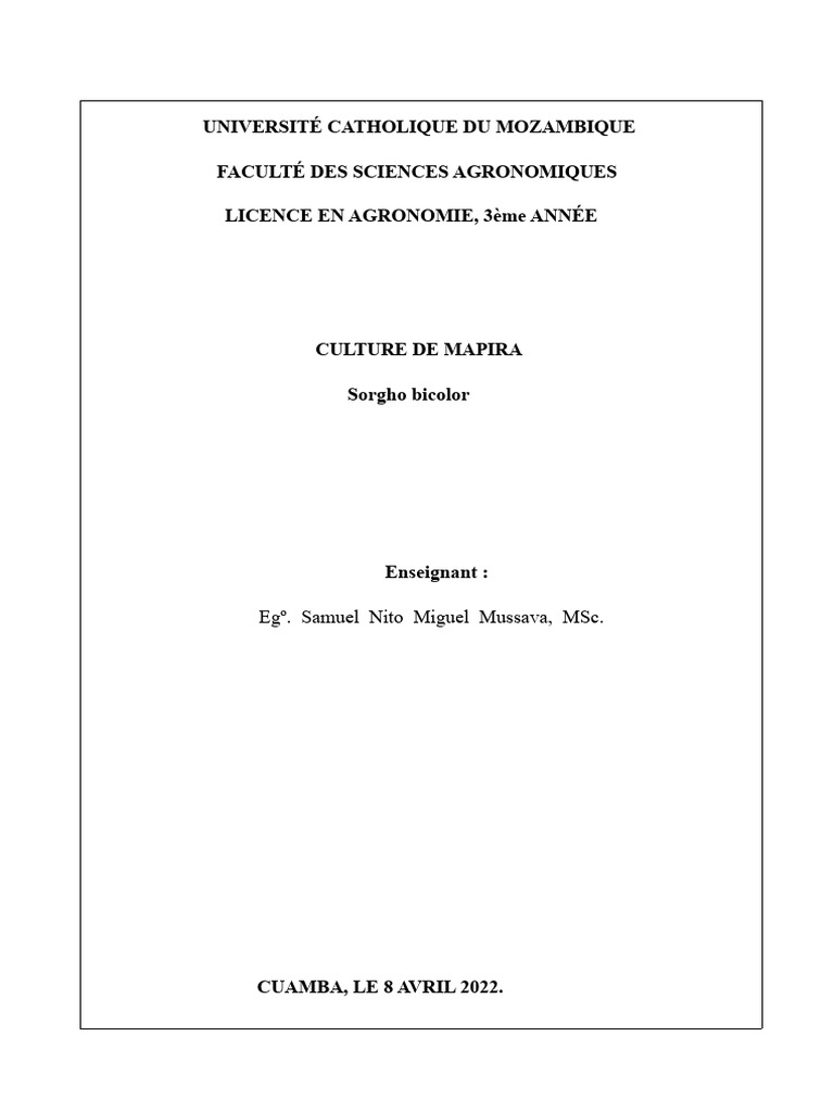 Culture de Mapira : Sorgho Bicolor au Mozambique | PDF | Racine | Feuille