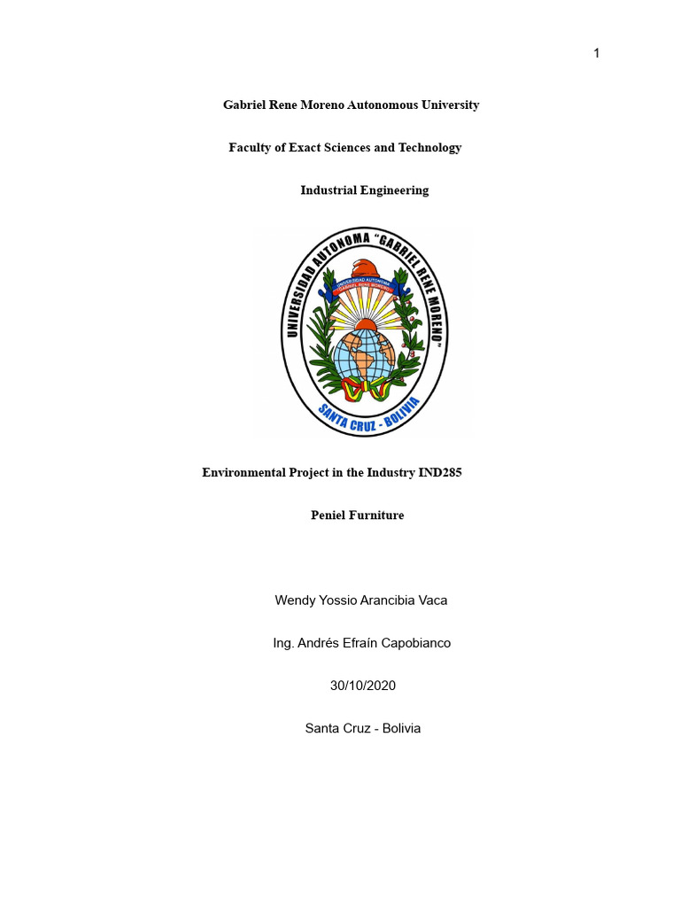 Environmental Project (APA 7th Edition Guidelines) | PDF | Sanitation ...