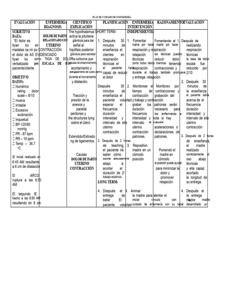 Plan de Cuidado de Enfermería | PDF | Parto | Enfermería