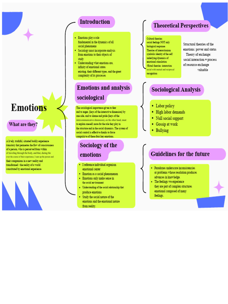 Sociological Perspectives on Emotions | PDF | Emotions | Sociology