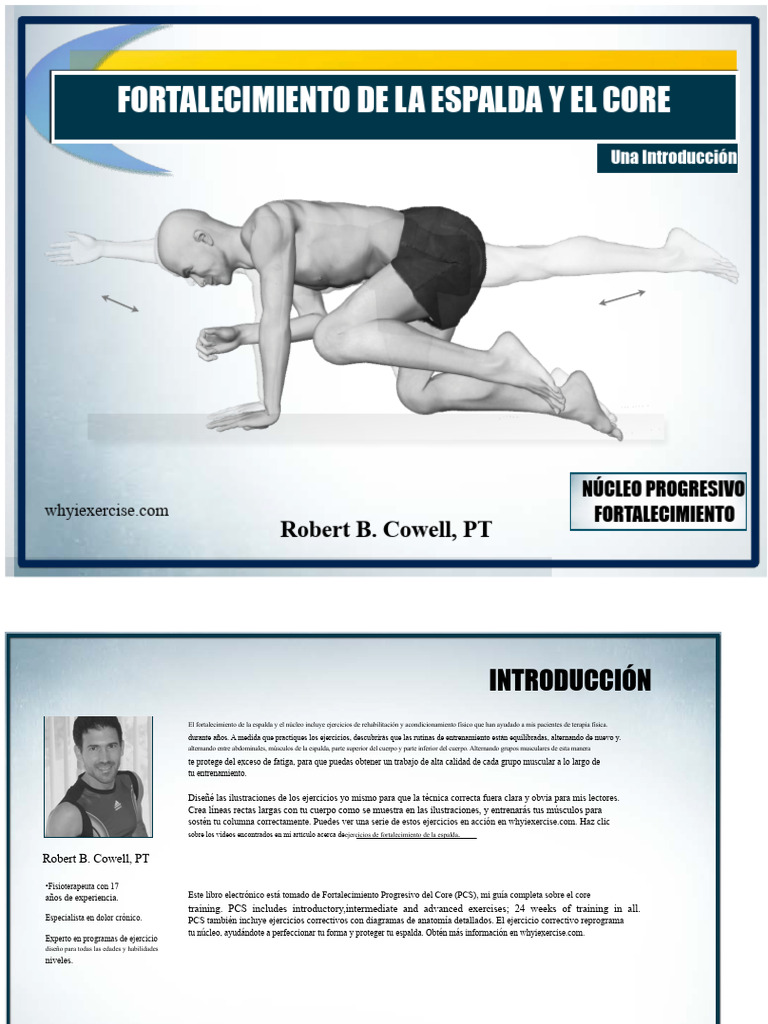 Ejercicios para Fortalecer Espalda y Core | PDF | Anatomía humana ...