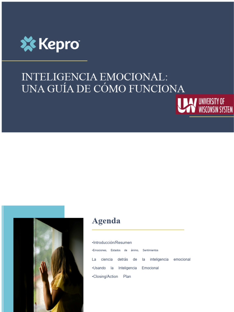 Guía Práctica de Inteligencia Emocional | PDF | Las emociones ...