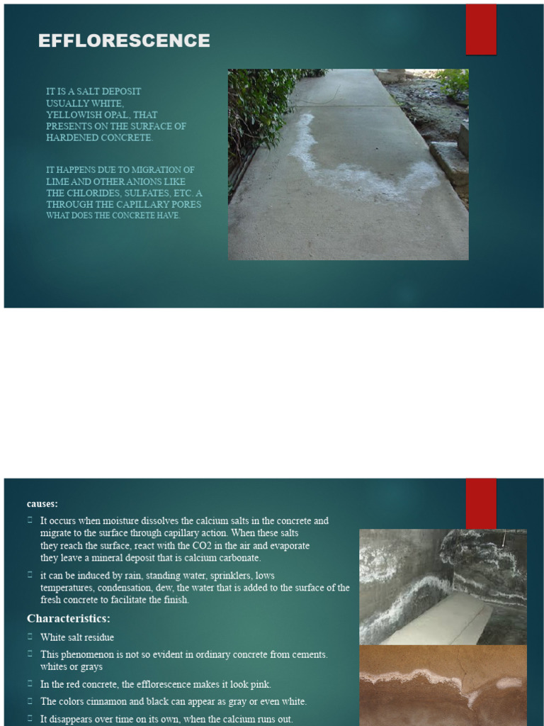 efflorescence-in-concrete-pdf