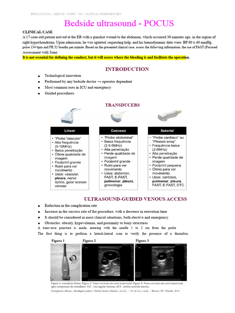 Bedside Ultrasound in Trauma Care | PDF | Lung | Medical Specialties