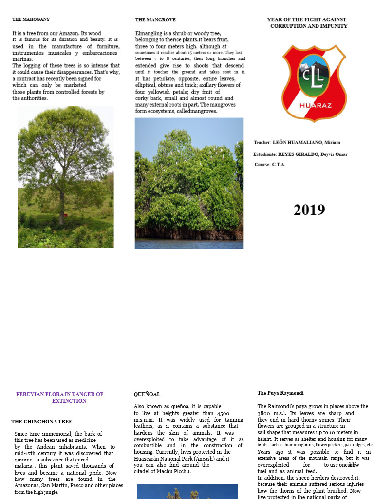 Triptych Deysi.docx | PDF | Trees | Plants