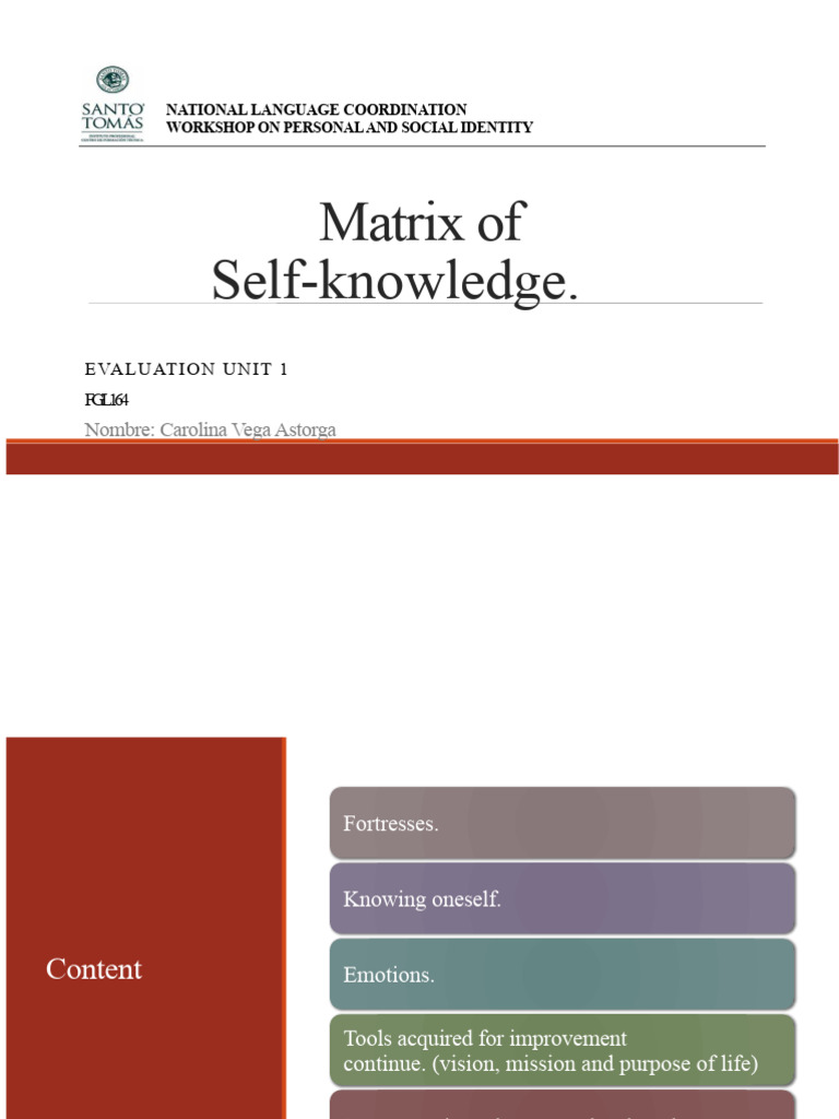 Self-Knowledge Workshop Insights | PDF | Emotions | Self Awareness