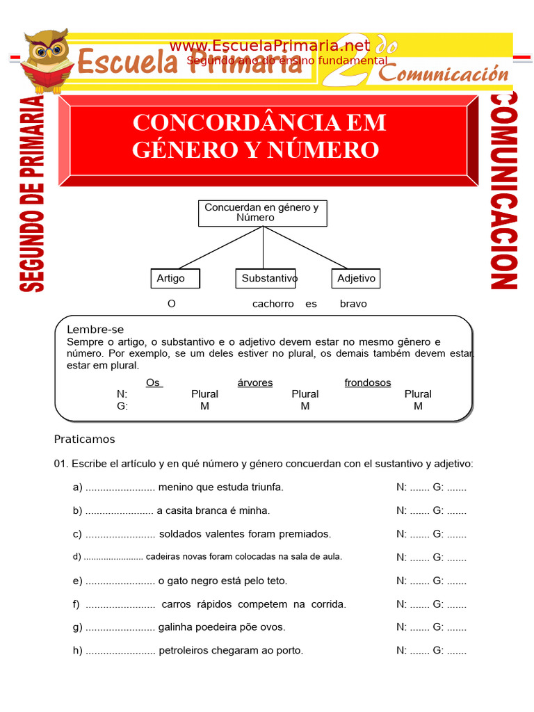 Concordância em Gênero e Número | PDF | Plural | Adjetivo