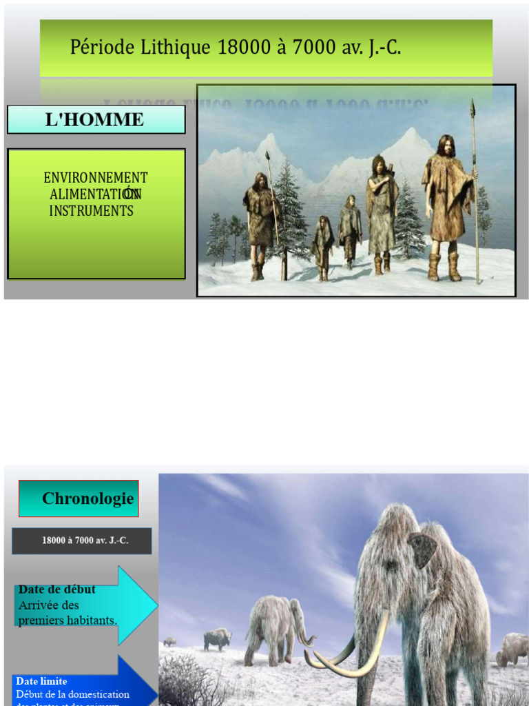 Histoire de l'Homme au Période Lithique | PDF