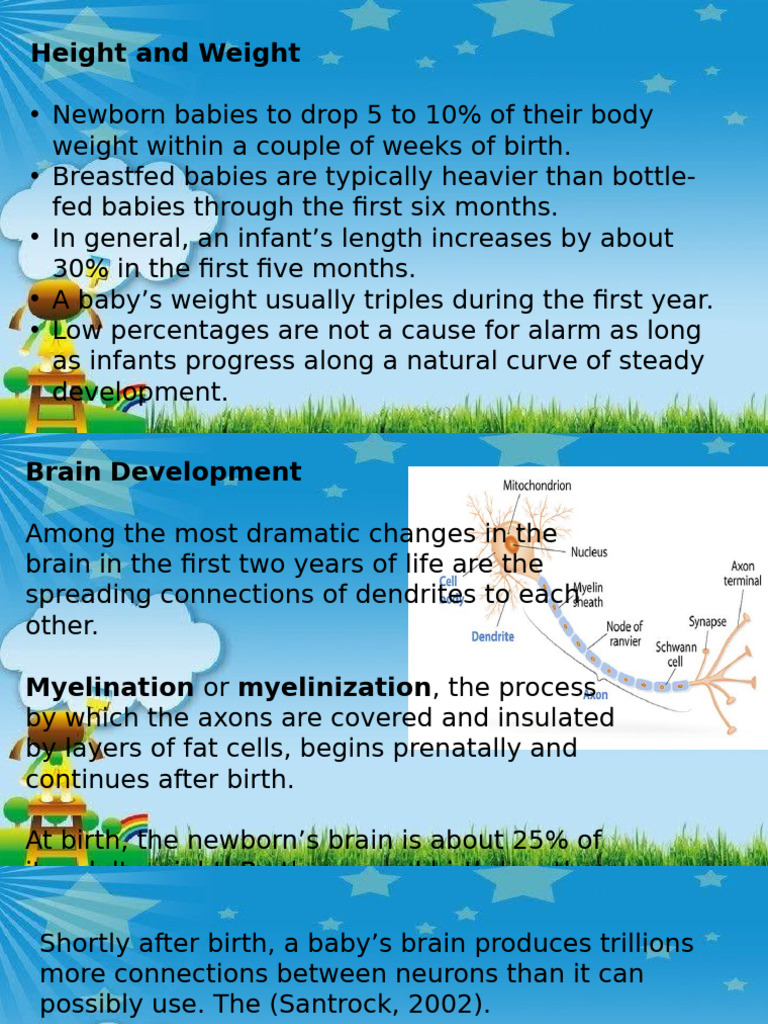 Infancy and Toddlerhood Educ1 Report | PDF