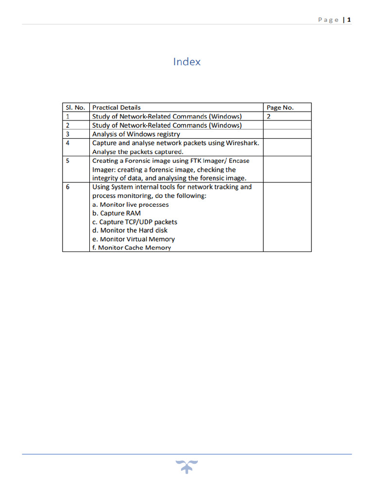 Cyber Forensic Prectical File | PDF
