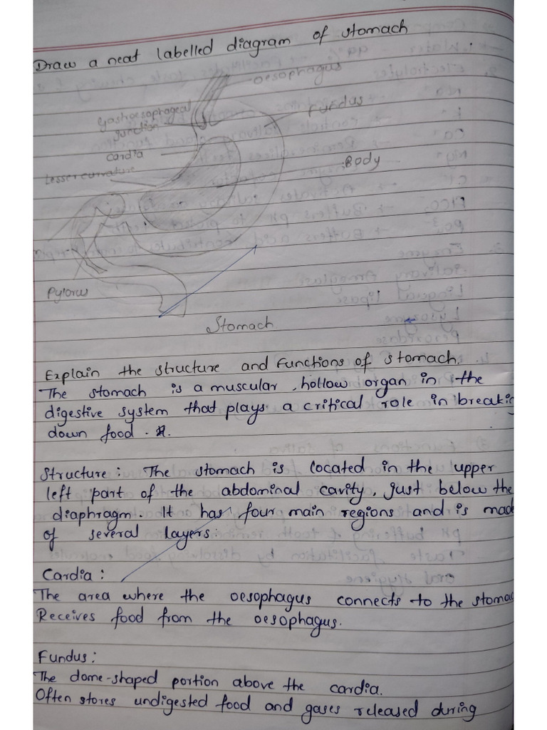 Notes 1 | PDF