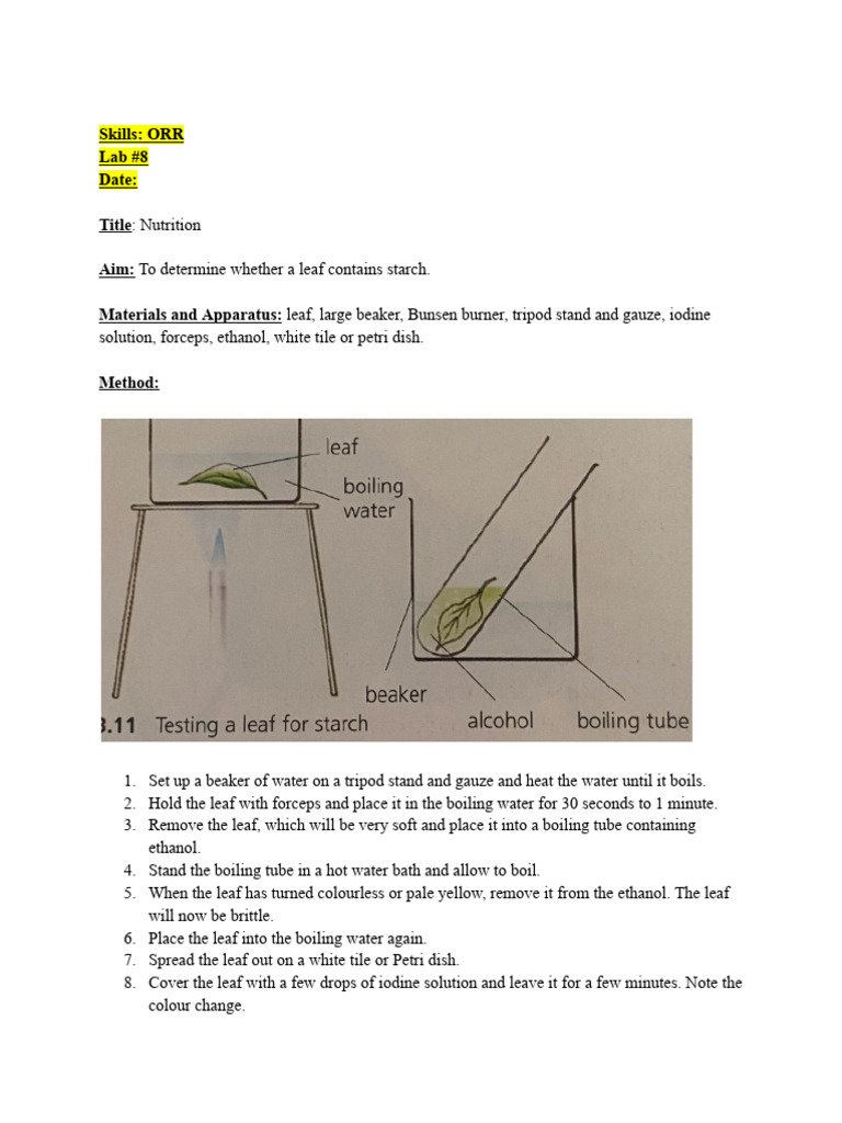 Starch Test in Leaves Experiment | PDF