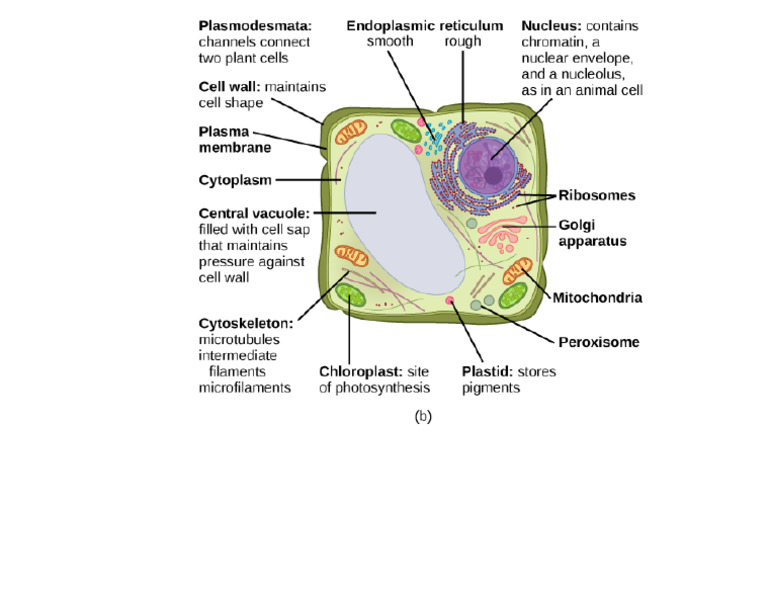 Figure - 03 - 03 - 01b - New - PNG 519×476 Pixels | PDF