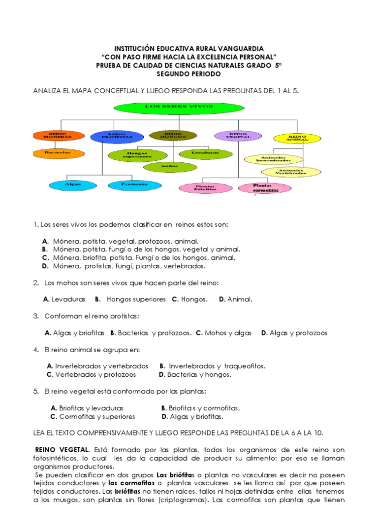 Prueba de Calidad Ciencias Naturales Segundo Periodo | PDF | Plantas | Hongo