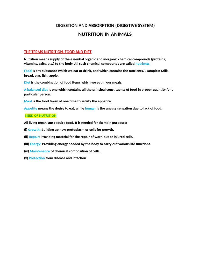 Digestion and Absorption in Animals | PDF | Digestion | Dental Anatomy