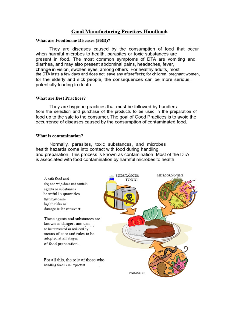 Food Safety and Hygiene Practices Guide | PDF | Foodborne Illness ...