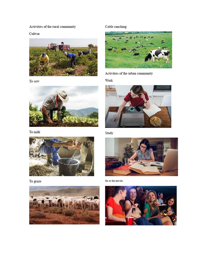 Activities of the rural community | PDF