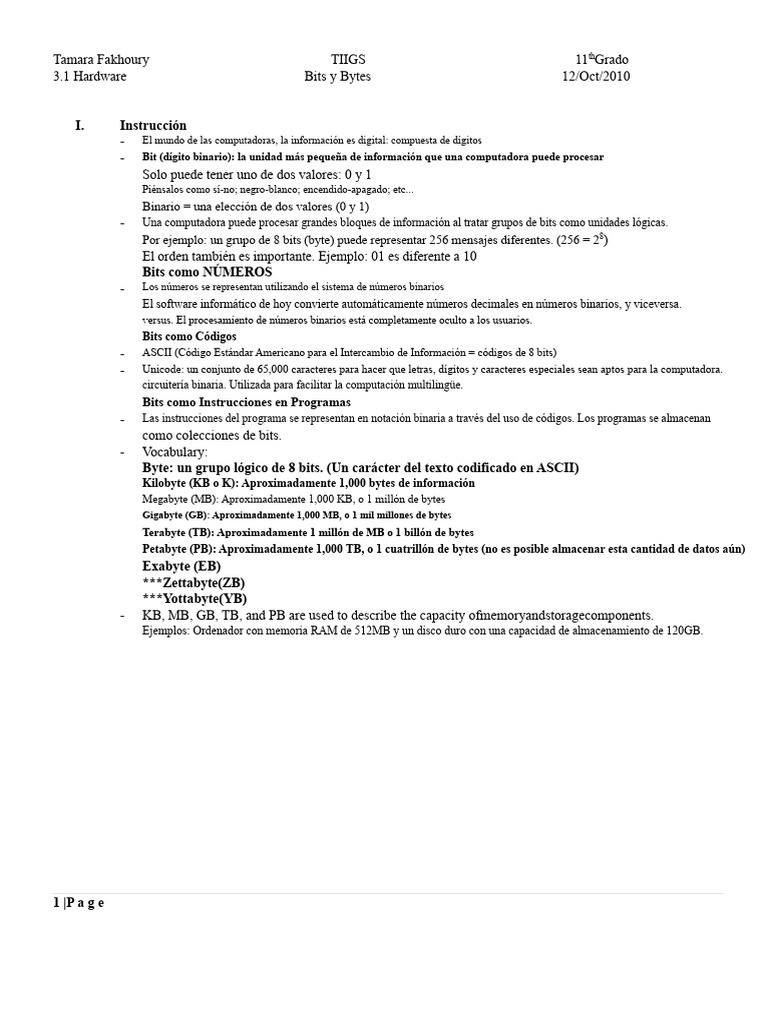 Introducción a Bits y Bytes en Informática | PDF | Poco | Byte