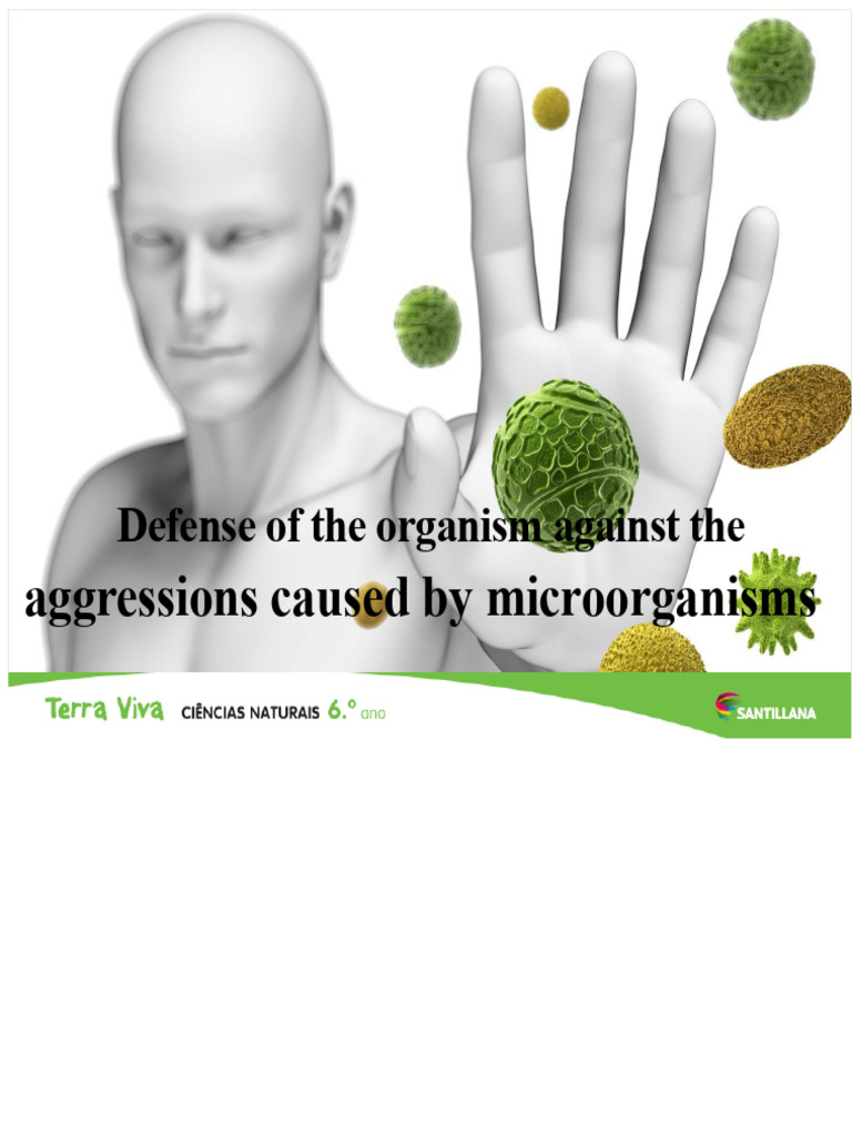 Defending Against Infectious Diseases | PDF | Immune System | Vaccines