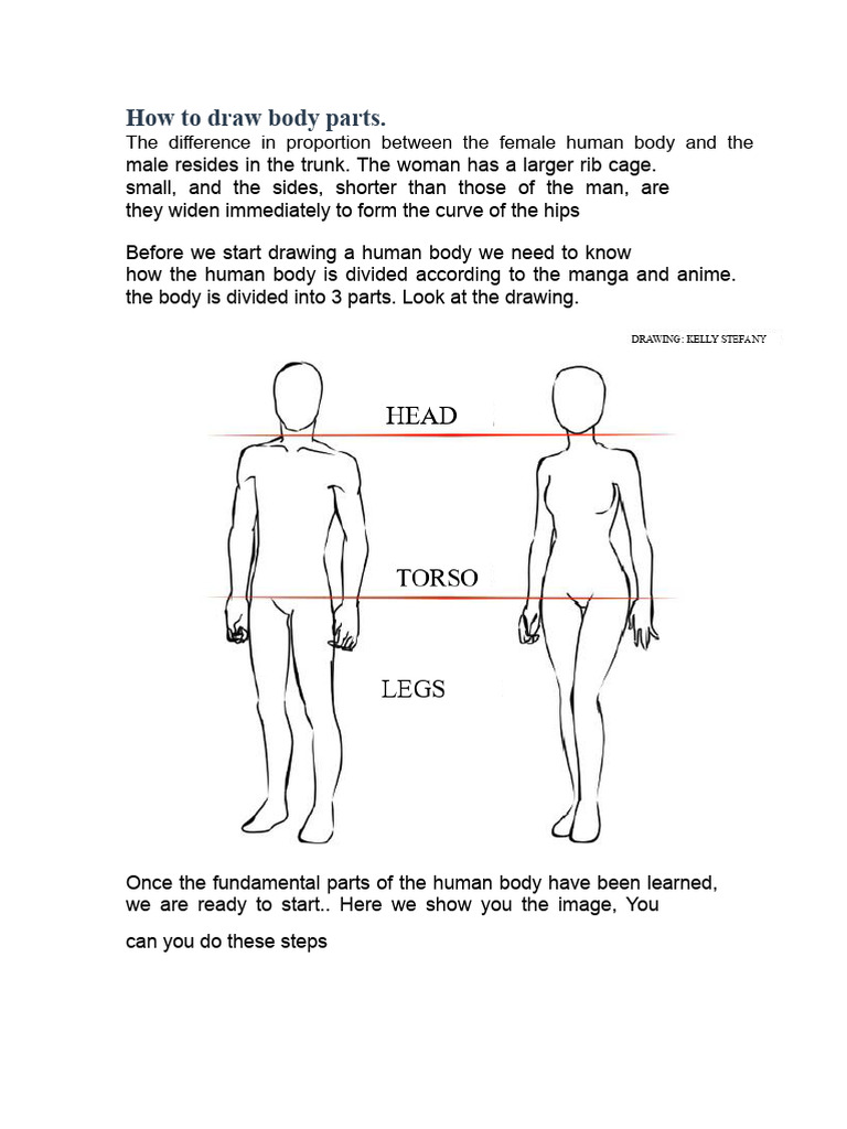 Guide to Drawing Human Body Parts | PDF