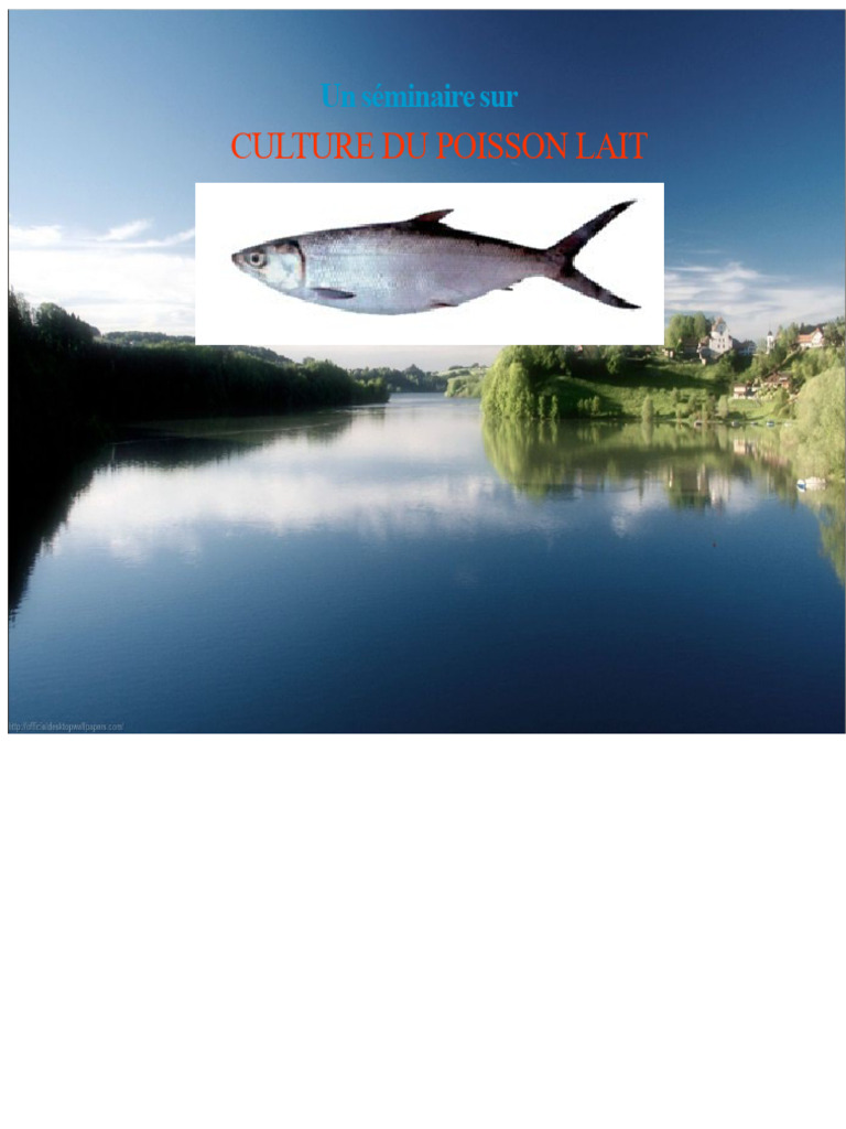 Culture du Poisson Lait : Guide Complet | PDF | Poisson