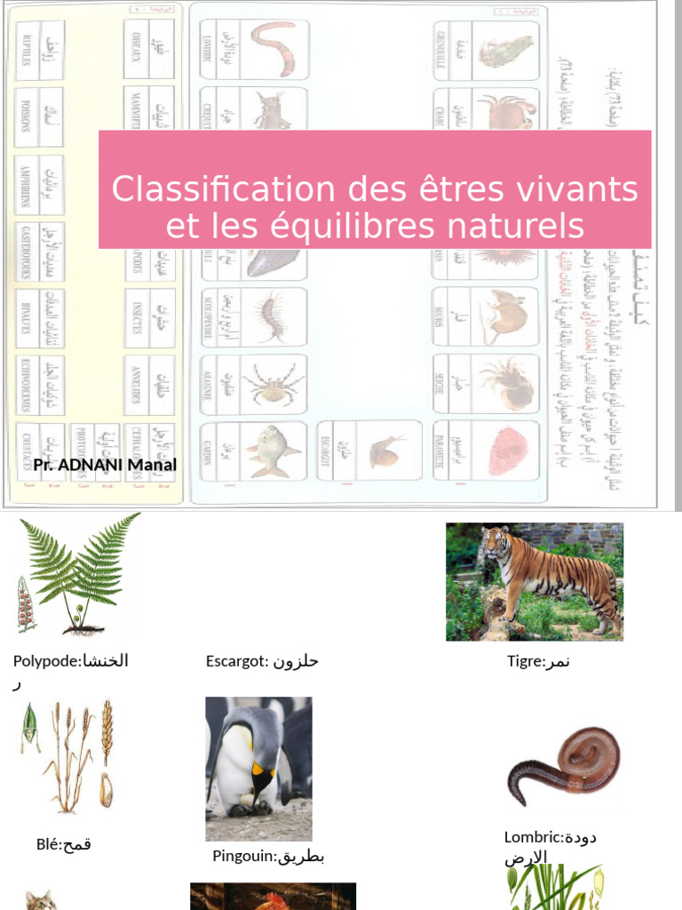 Classification des êtres vivants et écologie | PDF | Plantes | Forêt