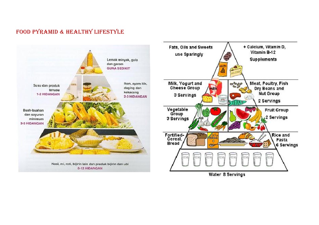 Food Pyramid | PDF | Wellness | Lifestyle