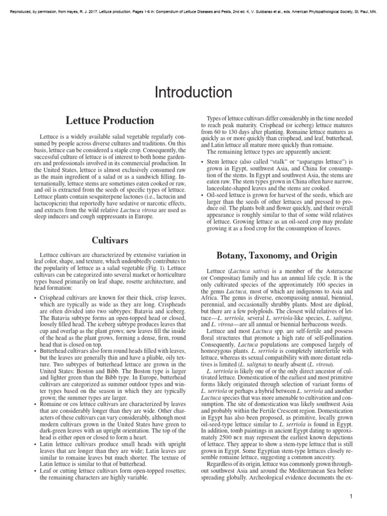 Lettuce Cultivars: Types and Maturity | PDF | Lettuce | Fertilizer