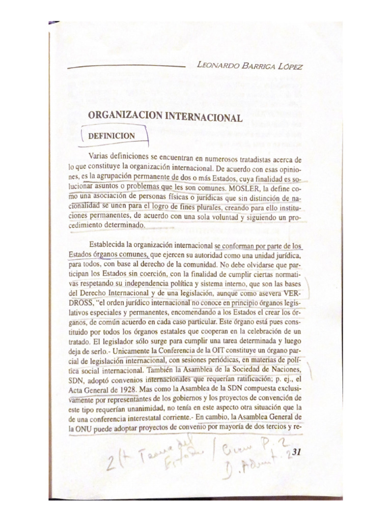 Organizacion Internacional | PDF
