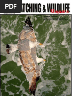 Download bw giugno 2012 n4 by ilmelodico5666 SN96532543 doc pdf