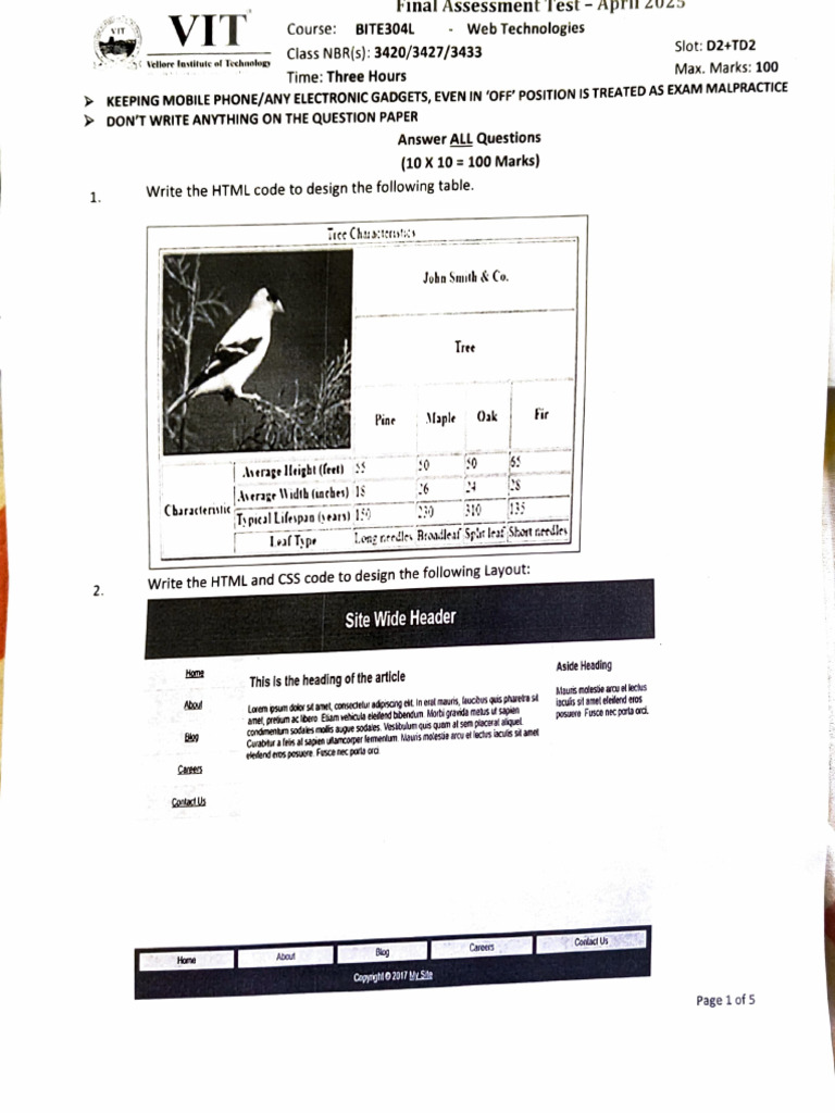 VIT Final Assessment Test Guidelines | PDF
