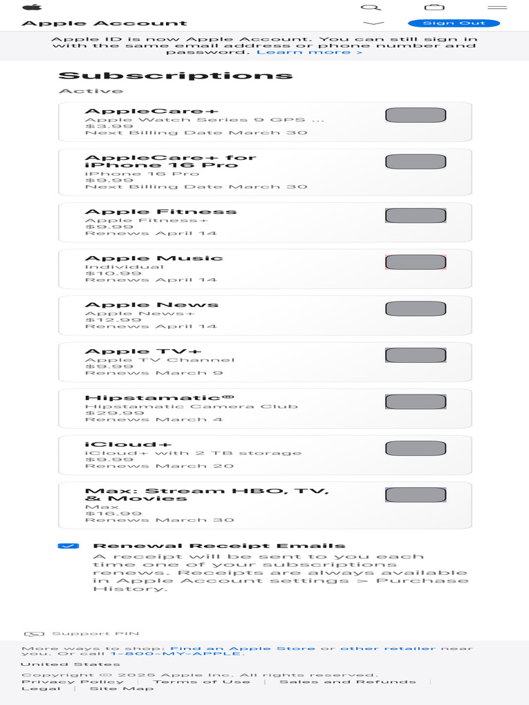Apple Account Subscription Details | PDF