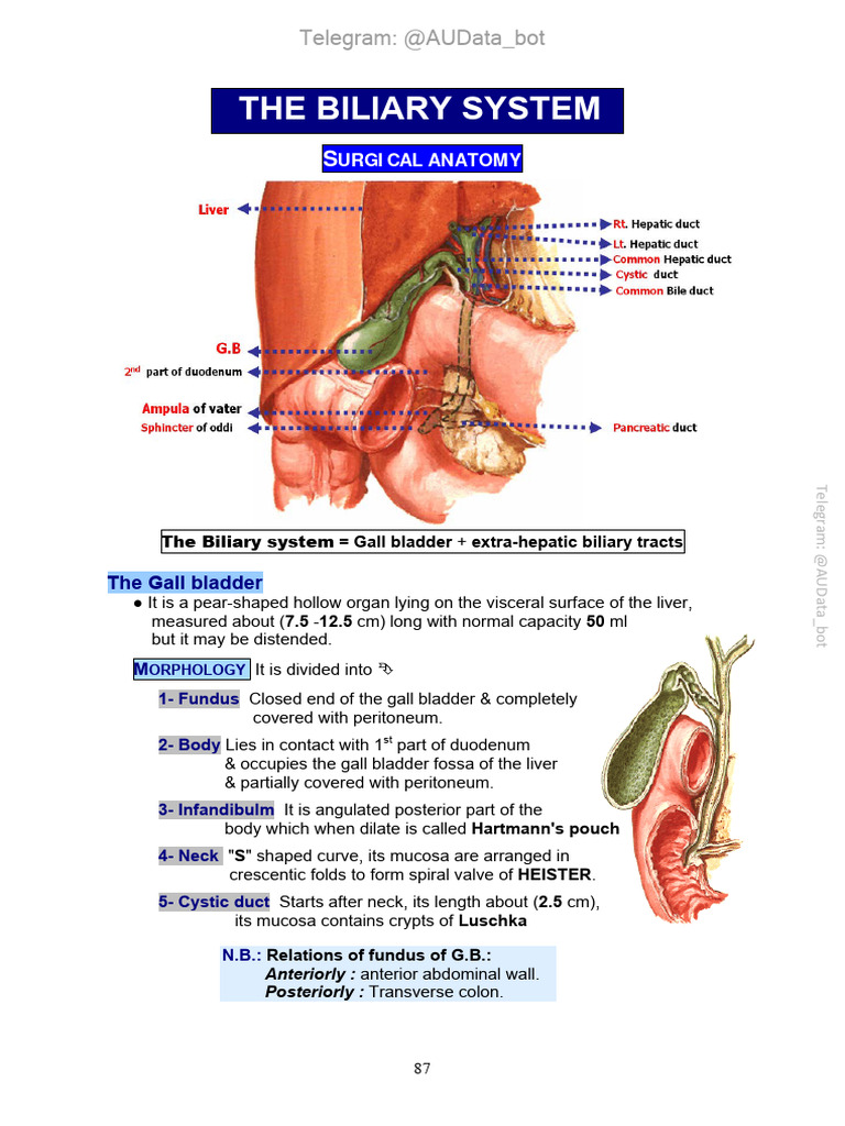Abdominal Surgery DR Wael Unlocked-94 | PDF