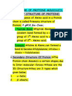 Structure of Protein Molecule