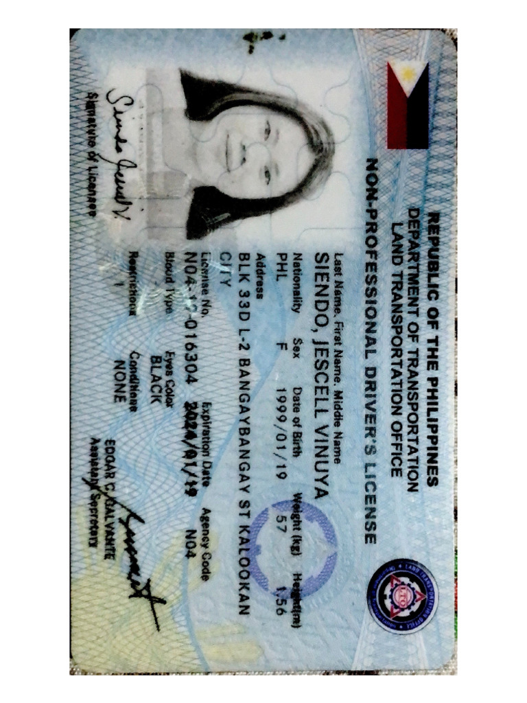 Valid Id | PDF