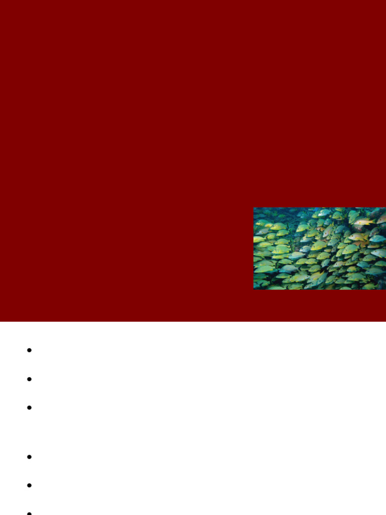 Understanding Attention and Perception | PDF | Attention ...
