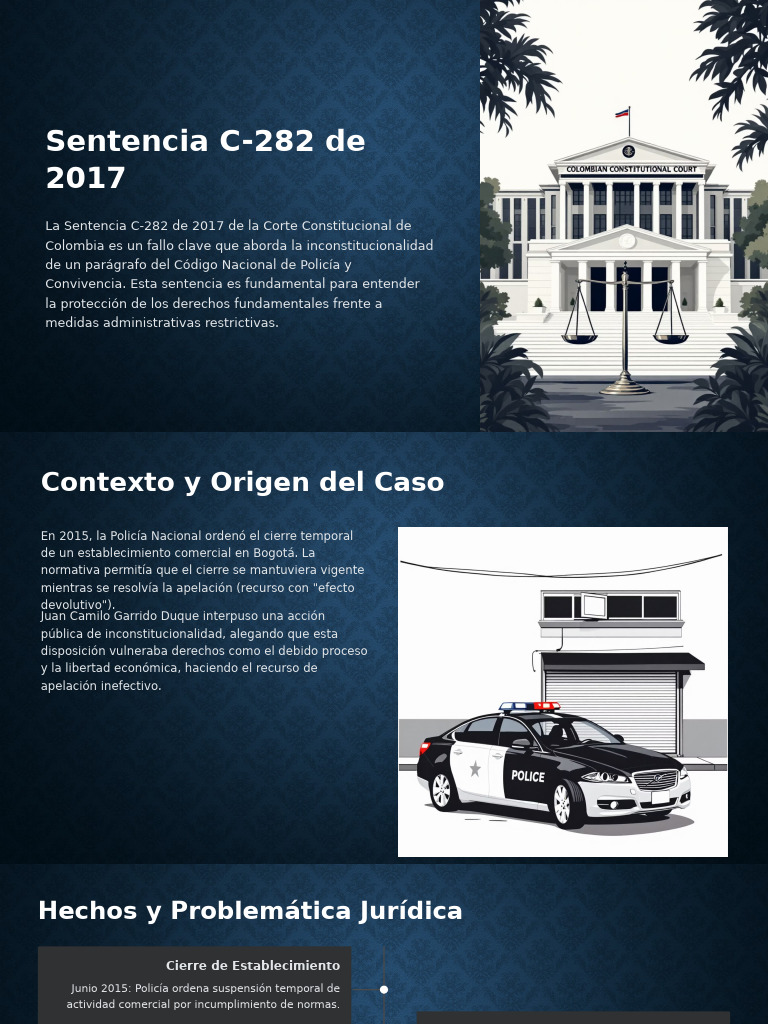 Sentencia C 282 de 2017 Un Hito Constitucional | PDF | Debido al